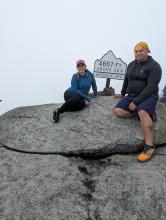 Prickards on a large rock